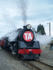 
Daffodil Express with Ja 1271, Carterton, September 2010